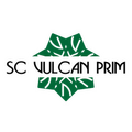 VULCAN PRIM SRL
